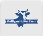 mulligan heifer farm.JPG